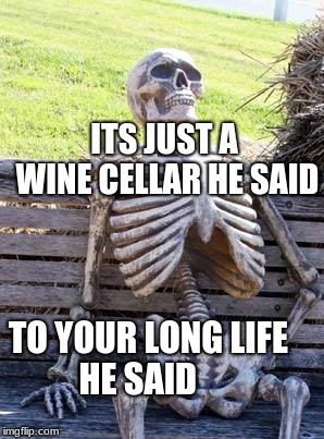 Waiting Skeleton | ITS JUST A WINE CELLAR HE SAID; TO YOUR LONG LIFE          HE SAID | image tagged in memes,waiting skeleton | made w/ Imgflip meme maker