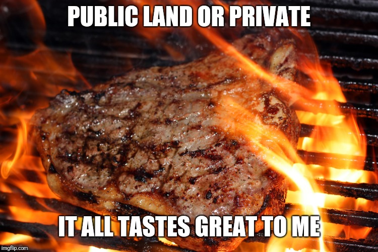 steak | PUBLIC LAND OR PRIVATE; IT ALL TASTES GREAT TO ME | image tagged in steak | made w/ Imgflip meme maker
