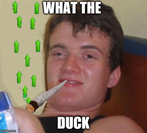 WHAT THE DUCK | made w/ Imgflip meme maker