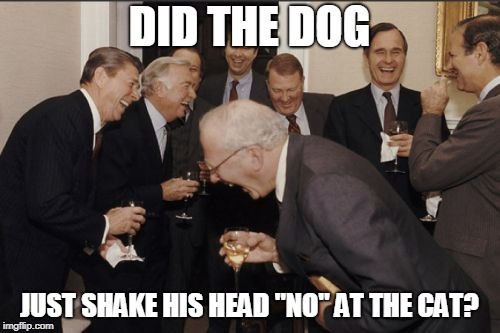 Laughing Men In Suits Meme | DID THE DOG JUST SHAKE HIS HEAD "NO" AT THE CAT? | image tagged in memes,laughing men in suits | made w/ Imgflip meme maker