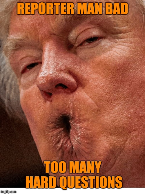 REPORTER MAN BAD TOO MANY HARD QUESTIONS | made w/ Imgflip meme maker