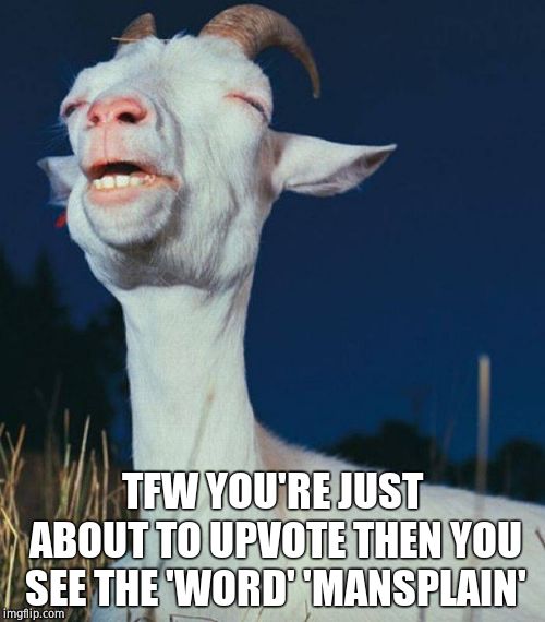Tfwgoat | TFW YOU'RE JUST ABOUT TO UPVOTE THEN YOU SEE THE 'WORD' 'MANSPLAIN' | image tagged in tfwgoat | made w/ Imgflip meme maker