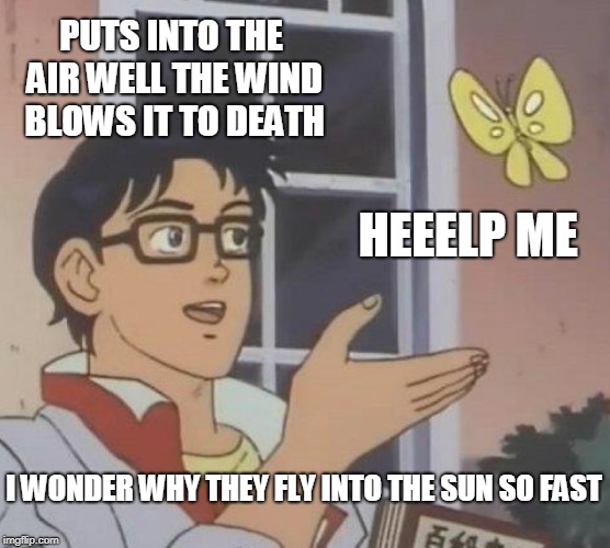 Is This A Pigeon | PUTS INTO THE AIR WELL THE WIND BLOWS IT TO DEATH; HEEELP ME; I WONDER WHY THEY FLY INTO THE SUN SO FAST | image tagged in memes,is this a pigeon | made w/ Imgflip meme maker