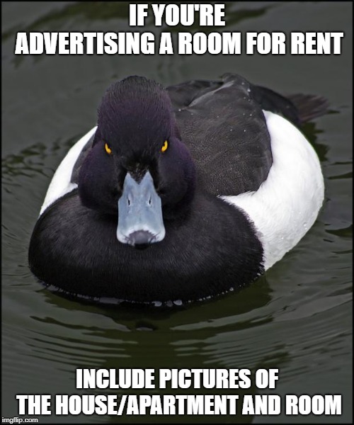 Angry duck | IF YOU'RE ADVERTISING A ROOM FOR RENT; INCLUDE PICTURES OF THE HOUSE/APARTMENT AND ROOM | image tagged in angry duck,AdviceAnimals | made w/ Imgflip meme maker