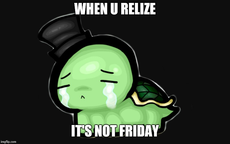 WHEN U RELIZE; IT'S NOT FRIDAY | image tagged in turtle,sad | made w/ Imgflip meme maker