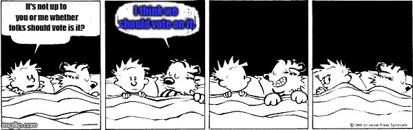 Hobbes/Character Was Real but Was He Alive? | I think we should vote on it. It's not up to you or me whether folks should vote is it? | image tagged in hobbes/character was real but was he alive | made w/ Imgflip meme maker