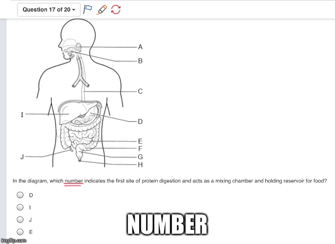 NUMBER | image tagged in meme | made w/ Imgflip meme maker