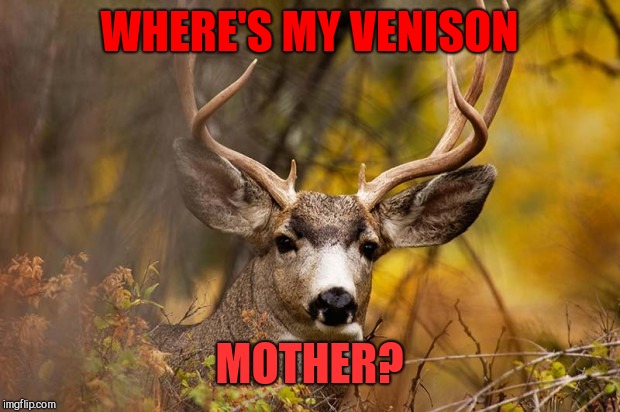 deer meme | WHERE'S MY VENISON; MOTHER? | image tagged in deer meme | made w/ Imgflip meme maker