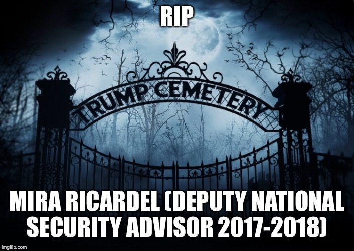 RIP Kellyanne Conway | RIP; MIRA RICARDEL (DEPUTY NATIONAL SECURITY ADVISOR 2017-2018) | image tagged in mira ricardel,deputy national security advisor,melania trump,donald trump,trump administration | made w/ Imgflip meme maker