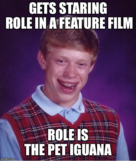 Bad Luck Brian | GETS STARING ROLE IN A FEATURE FILM; ROLE IS THE PET IGUANA | image tagged in memes,bad luck brian | made w/ Imgflip meme maker