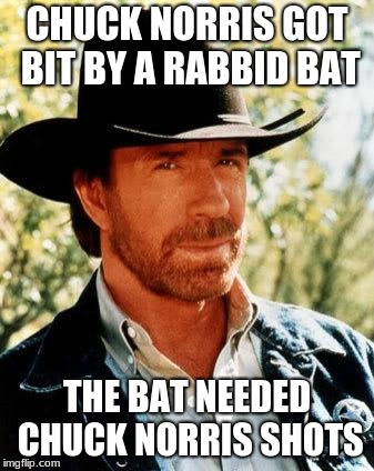 Chuck Norris Meme | CHUCK NORRIS GOT BIT BY A RABID BAT THE BAT NEEDED CHUCK NORRIS SHOTS | image tagged in memes,chuck norris | made w/ Imgflip meme maker
