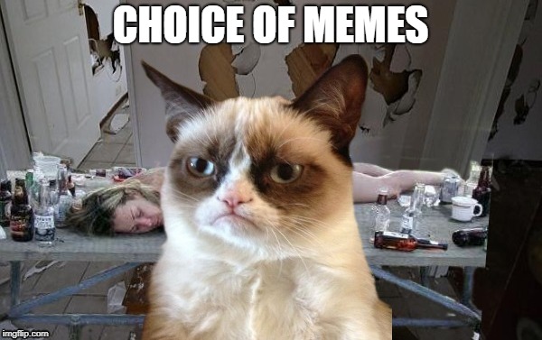 CHOICE OF MEMES | made w/ Imgflip meme maker