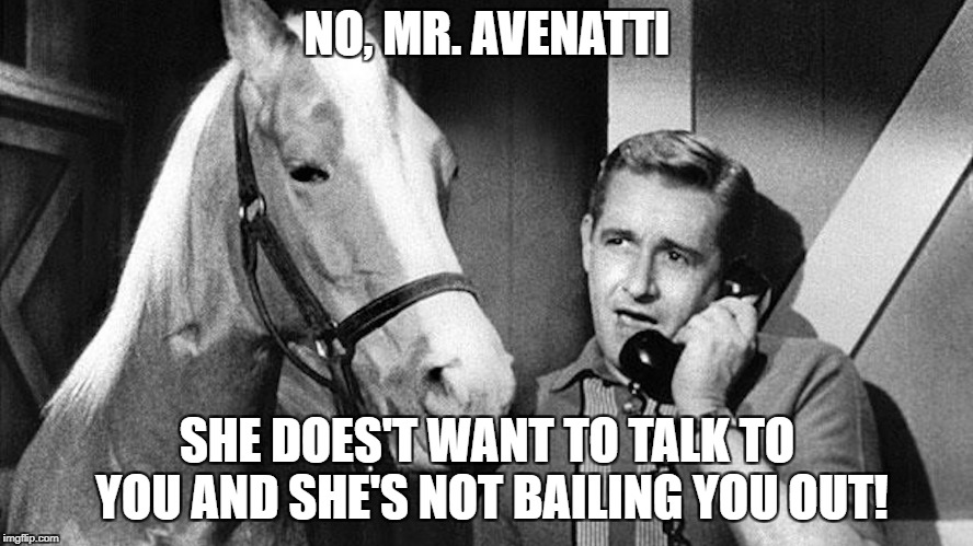 Mr. Ed | NO, MR. AVENATTI; SHE DOES'T WANT TO TALK TO YOU AND SHE'S NOT BAILING YOU OUT! | image tagged in mr ed | made w/ Imgflip meme maker