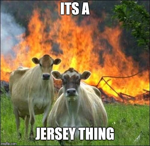 Evil Cows Meme | ITS A; JERSEY THING | image tagged in memes,evil cows | made w/ Imgflip meme maker