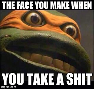 teen age mutant ninja turtle | THE FACE YOU MAKE WHEN; YOU TAKE A SHIT | image tagged in teen age mutant ninja turtle | made w/ Imgflip meme maker
