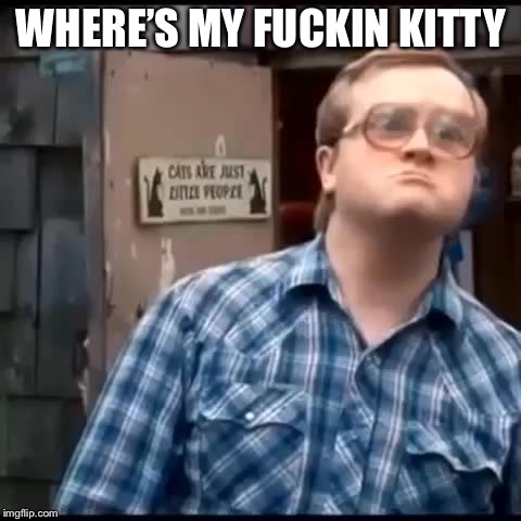 bubbles kitty meme