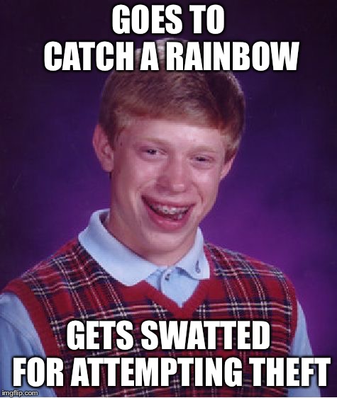 Bad Luck Brian | GOES TO CATCH A RAINBOW; GETS SWATTED FOR ATTEMPTING THEFT | image tagged in memes,bad luck brian | made w/ Imgflip meme maker