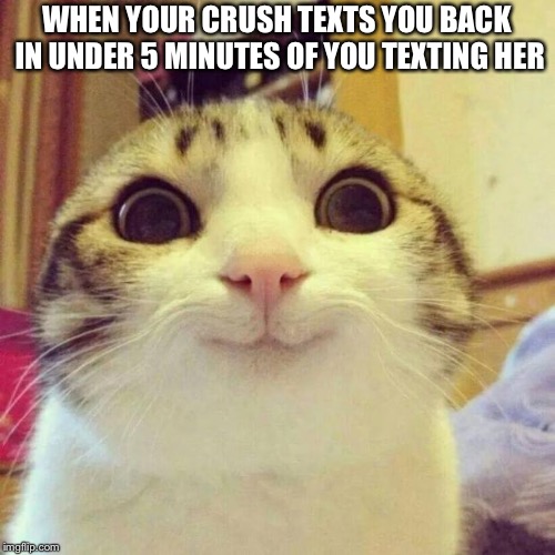 Smiling Cat | WHEN YOUR CRUSH TEXTS YOU BACK IN UNDER 5 MINUTES OF YOU TEXTING HER | image tagged in memes,smiling cat | made w/ Imgflip meme maker