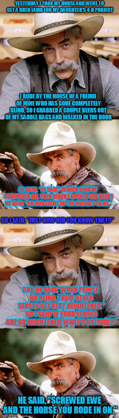 And the horse you rode in on. | YESTERDAY I TOOK MY HORSE AND WENT TO GET A BRED LAMB FOR MY DAUGHTER'S 4-H PROJECT; I RODE BY THE HOUSE OF A FREIND OF MINE WHO HAS GONE COMPLETELY BLIND, SO I GRABBED A COUPLE BEERS OUT OF MY SADDLE BAGS AND WALKED IN THE DOOR; HE SAID, "HI SAM." WHICH KIND OF SURPRISED ME, THEN WHEN I OPENED THE BEERS HE SAID, "AH BUD LIGHT IN THE HOLIDAY CANS."; SO I SAID, "JUST HOW DID YOU KNOW THAT?"; AND HE SAID,"WHEN PEOPLE GO BLIND, THEIR OTHER SENSES GET VERY HEIGHTENED." SO I SAID"IF YOUR SENSES ARE SO HEIGHTENED, WHAT'S OUTSIDE?"; HE SAID, "SCREWED EWE AND THE HORSE YOU RODE IN ON." | image tagged in sam elliott,puns,horse | made w/ Imgflip meme maker