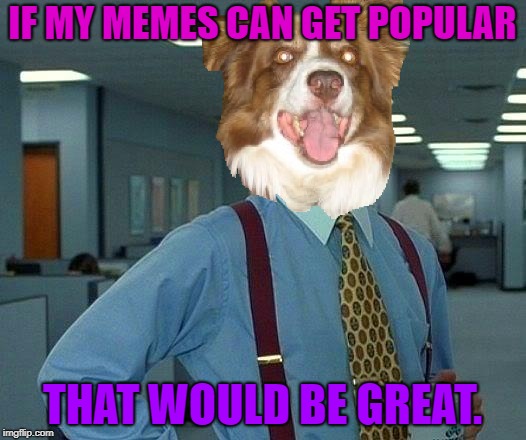 A lot of people dislike my memes for some fucking reason, and they should start upvoting them! Jfc! | IF MY MEMES CAN GET POPULAR; THAT WOULD BE GREAT. | image tagged in memes,that would be great,chili the border collie,upvotes,down with downvotes,popular memes | made w/ Imgflip meme maker