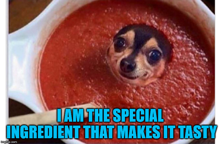 Sauce dog | I AM THE SPECIAL INGREDIENT THAT MAKES IT TASTY | image tagged in sauce dog | made w/ Imgflip meme maker