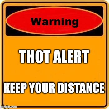 Warning Sign | THOT ALERT; KEEP YOUR DISTANCE | image tagged in memes,warning sign | made w/ Imgflip meme maker