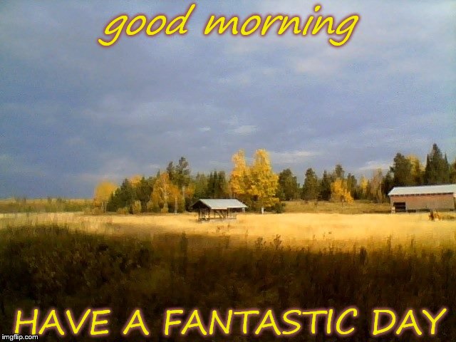 good morning; HAVE A FANTASTIC DAY | image tagged in good morning | made w/ Imgflip meme maker