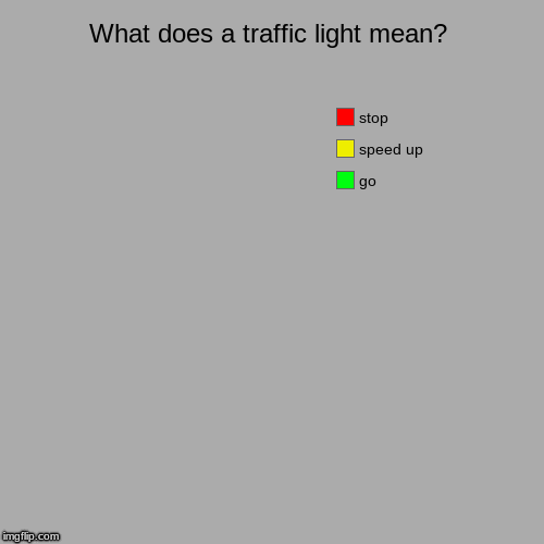 Just in case you forgot what a Traffic Light looks like | What does a traffic light mean? | go, speed up, stop | image tagged in funny,pie charts | made w/ Imgflip chart maker