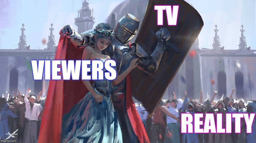 Knight Protecting Princess | TV REALITY VIEWERS | image tagged in knight protecting princess | made w/ Imgflip meme maker