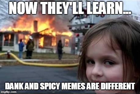 Burning House Girl | NOW THEY'LL LEARN... DANK AND SPICY MEMES ARE DIFFERENT | image tagged in burning house girl | made w/ Imgflip meme maker