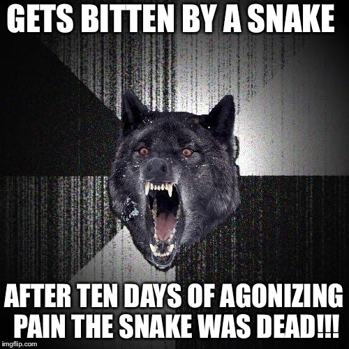 Insanity Wolf Meme | GETS BITTEN BY A SNAKE; AFTER TEN DAYS OF AGONIZING PAIN THE SNAKE WAS DEAD!!! | image tagged in memes,insanity wolf | made w/ Imgflip meme maker