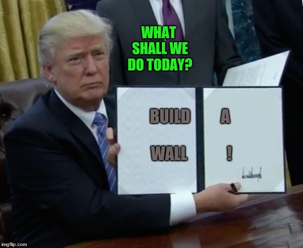 Trump Bill Signing Meme | WHAT SHALL WE DO TODAY? BUILD          A                               
WALL             ! | image tagged in memes,trump bill signing | made w/ Imgflip meme maker