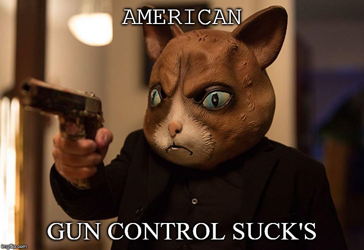 American gun control suck's | AMERICAN; GUN CONTROL SUCK'S | image tagged in funny dog | made w/ Imgflip meme maker