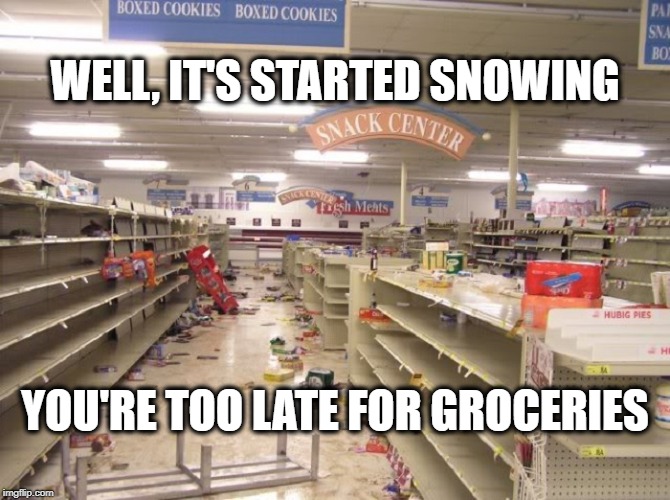 Winter Shopping | WELL, IT'S STARTED SNOWING; YOU'RE TOO LATE FOR GROCERIES | image tagged in snow,groceries,panic aisle | made w/ Imgflip meme maker