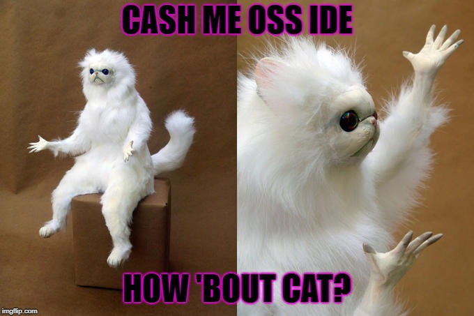 Persian Cat Room Guardian Meme | CASH ME OSS IDE; HOW 'BOUT CAT? | image tagged in memes,persian cat room guardian | made w/ Imgflip meme maker