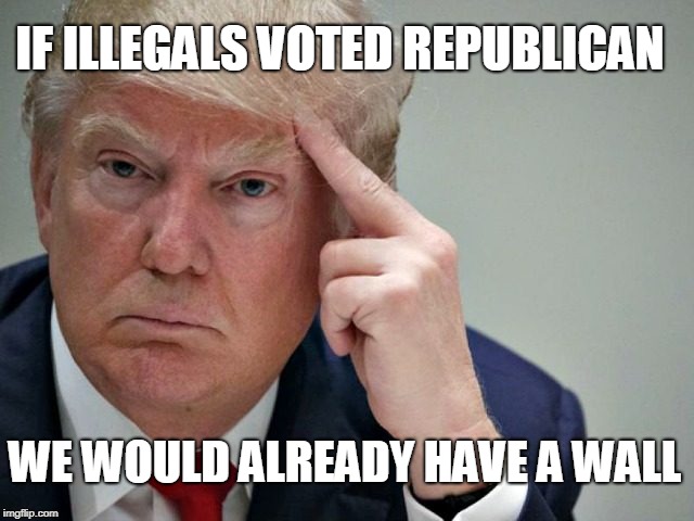 thinking trump | IF ILLEGALS VOTED REPUBLICAN WE WOULD ALREADY HAVE A WALL | image tagged in thinking trump | made w/ Imgflip meme maker