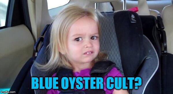 wtf girl | BLUE OYSTER CULT? | image tagged in wtf girl | made w/ Imgflip meme maker
