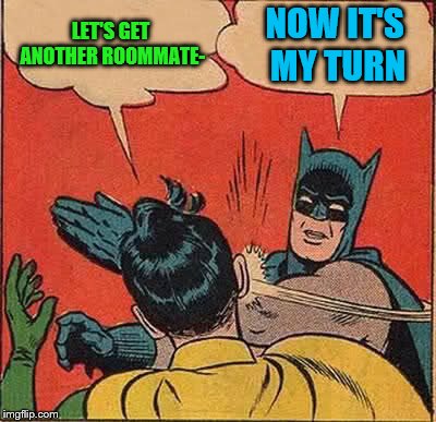 Batman Slapping Robin Meme | LET'S GET ANOTHER ROOMMATE- NOW IT'S MY TURN | image tagged in memes,batman slapping robin | made w/ Imgflip meme maker