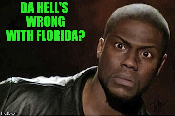 They can count Nascar laps but not votes | DA HELL'S WRONG WITH FLORIDA? | image tagged in memes,kevin hart | made w/ Imgflip meme maker