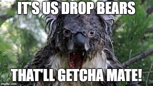 Angry Koala Meme | IT'S US DROP BEARS THAT'LL GETCHA MATE! | image tagged in memes,angry koala | made w/ Imgflip meme maker