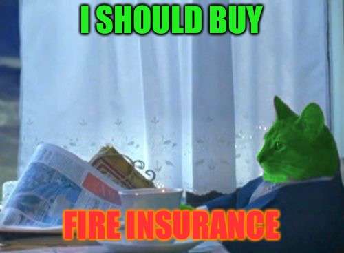 I Should Buy a Boat RayCat | I SHOULD BUY FIRE INSURANCE | image tagged in i should buy a boat raycat | made w/ Imgflip meme maker