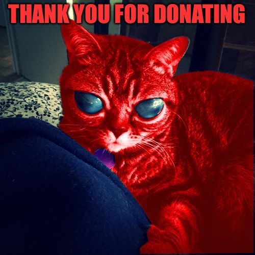 RayCat Aliens | THANK YOU FOR DONATING | image tagged in raycat aliens | made w/ Imgflip meme maker