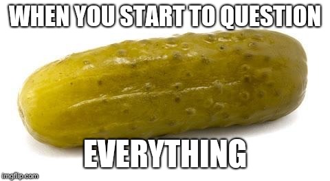 Pickle | WHEN YOU START TO QUESTION; EVERYTHING | image tagged in pickle | made w/ Imgflip meme maker