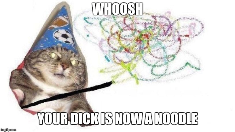 Wizard Cat | WHOOSH; YOUR DICK IS NOW A NOODLE | image tagged in wizard cat | made w/ Imgflip meme maker