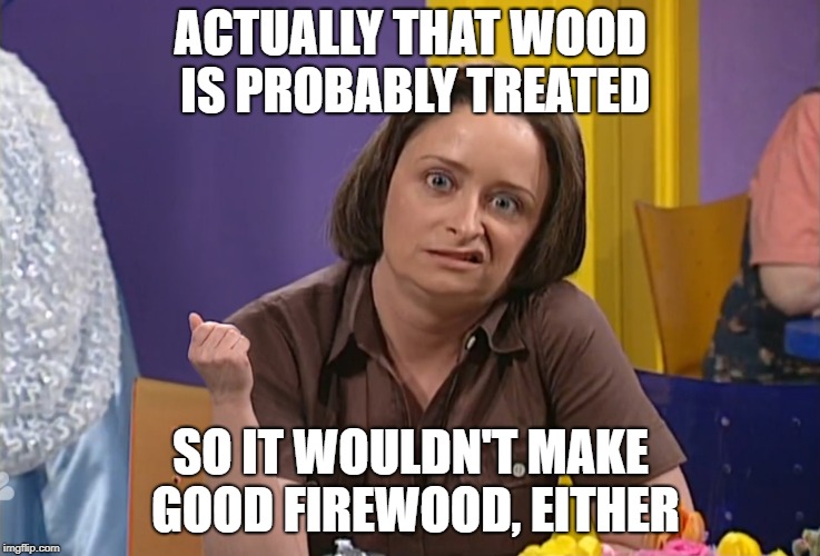 Debbie Downer | ACTUALLY THAT WOOD IS PROBABLY TREATED; SO IT WOULDN'T MAKE GOOD FIREWOOD, EITHER | image tagged in debbie downer | made w/ Imgflip meme maker