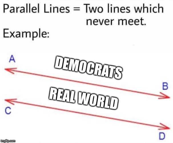 Parallel Lines | DEMOCRATS; REAL WORLD | image tagged in parallel lines | made w/ Imgflip meme maker