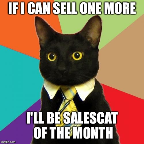 Black Cat in Tie | IF I CAN SELL ONE MORE I'LL BE SALESCAT OF THE MONTH | image tagged in black cat in tie | made w/ Imgflip meme maker