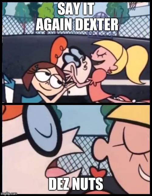 Say it Again, Dexter Meme | SAY IT AGAIN DEXTER; DEZ NUTS | image tagged in say it again dexter | made w/ Imgflip meme maker