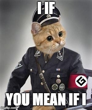 Grammar Nazi Cat | I IF YOU MEAN IF I | image tagged in grammar nazi cat | made w/ Imgflip meme maker