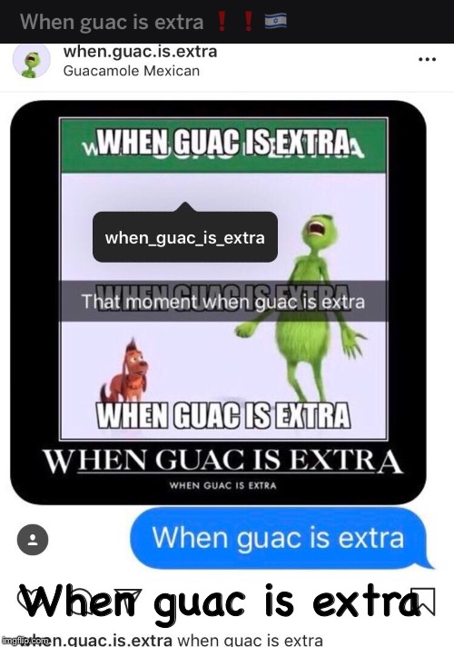 When guac is extra | When guac is extra | image tagged in when guac is extra,memes,idk | made w/ Imgflip meme maker